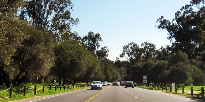 CLICK to continue: Arboretum