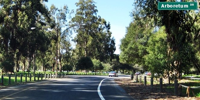 CLICK to continue: Arboretum