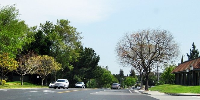 CLICK to continue: Lark Ave