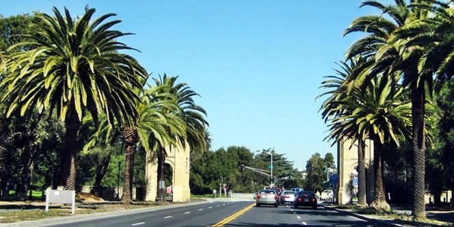 CLICK to continue: Palm Drive