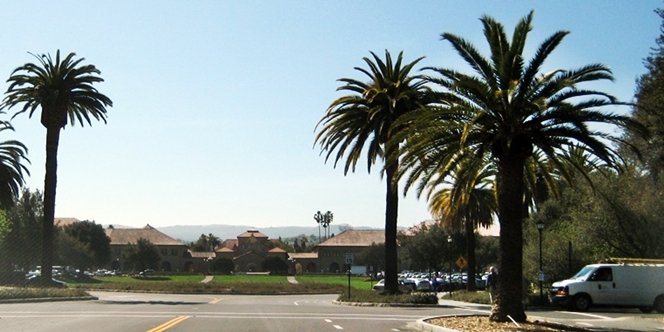 CLICK to continue: Palm Drive